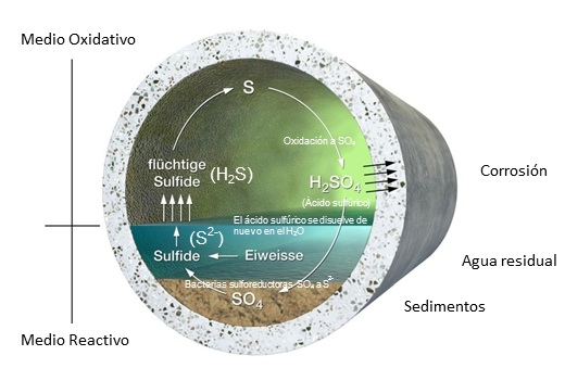 Resultados, balance de sulfuros para la eliminación de olores y corrosión en las redes de saneamiento, sewervac