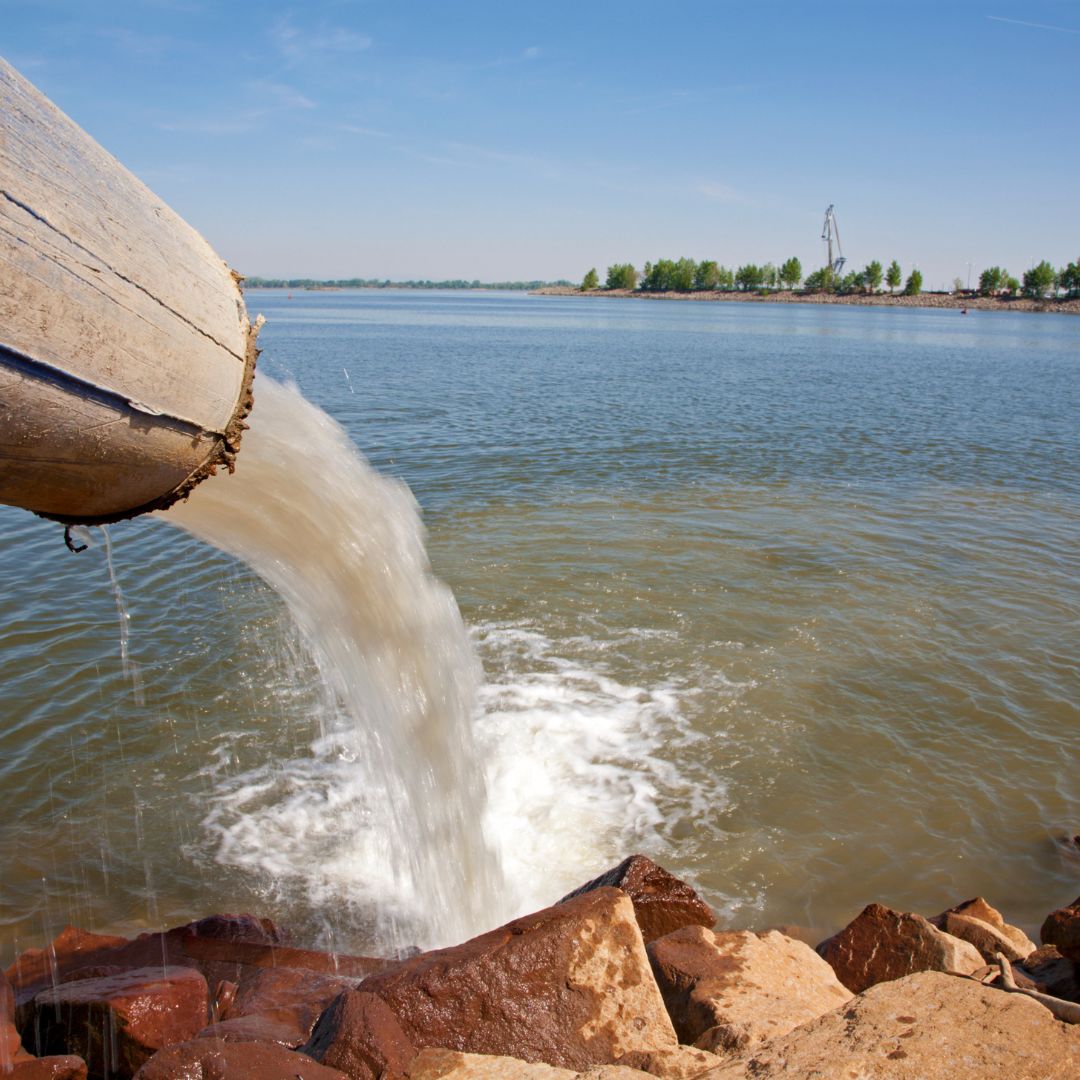 Biorremediación de aguas industriales